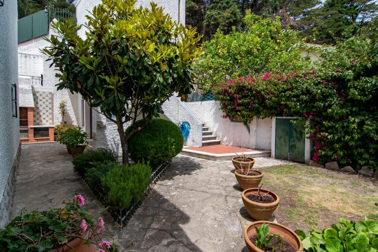 Villa Vivenda Santiago Sesimbra Exterior foto